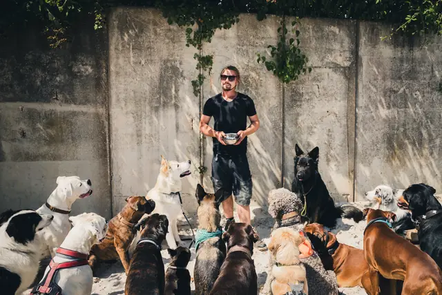 Lucas Becker steht vor einer Betonwand, umgeben von vielen Hunden