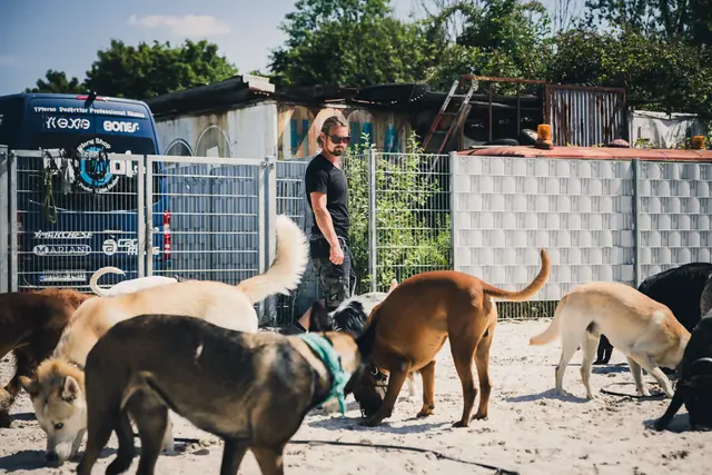 Lucas Becker mit Hunden vor Zaun und Wohnwagen